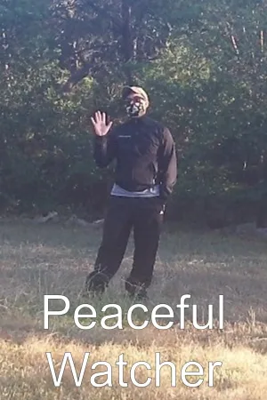 Watch and download Peaceful Watcher online (2020)