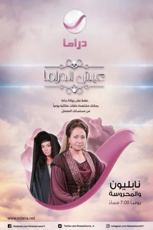 ناپلئون و المحروسة