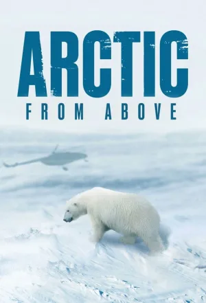 Arctic from Above