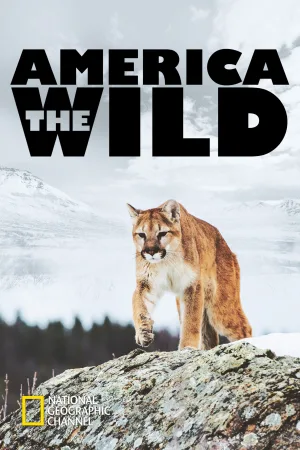 Watch and download America the Wild with Casey Anderson online (2013)