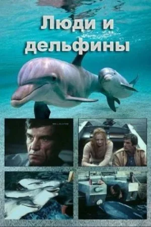 People and Dolphins