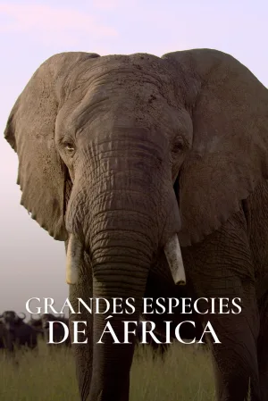 Watch and download Great Species of Africa online (2024)