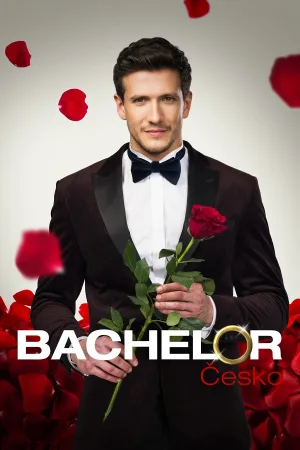 Watch and download Bachelor Czech Republic online (2024)