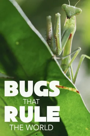 Watch and download Bugs That Rule the World online (2025)