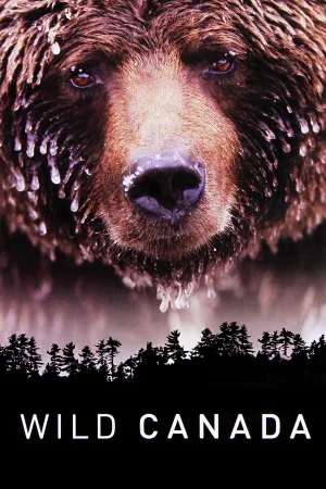 Watch and download Wild Canada online (2014)