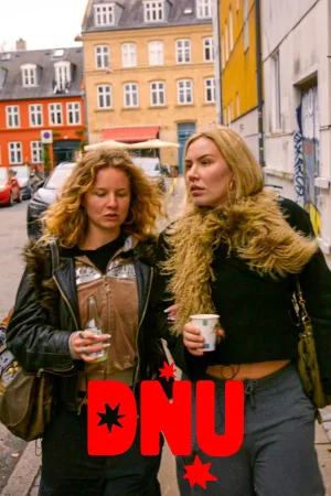 Danmarks Næste Ungdomsserie