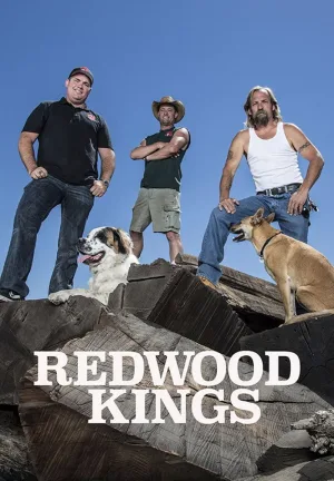 شاهبران Redwood