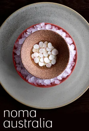 Watch and download Noma Australia online (2016)