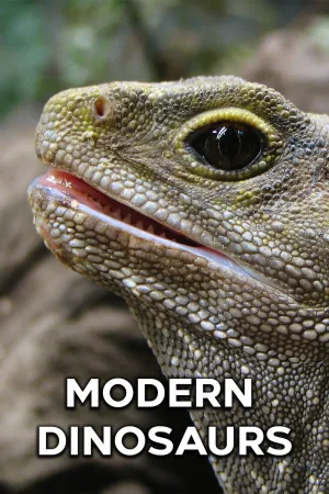 Watch and download Modern Dinosaurs online (2017)