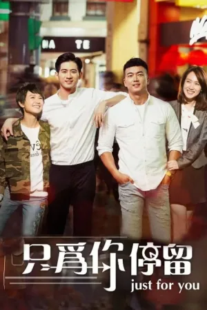 Watch and download 只为你停留 online (2017)