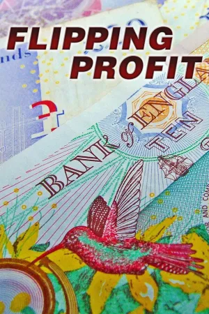 Watch and download Flipping Profit online (2018)