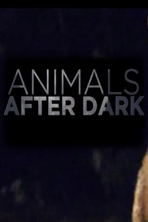 Watch and download Animals After Dark online (2019)