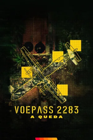 Voepass 2283: سقوط