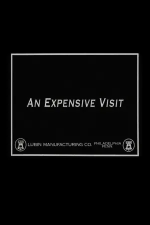 An Expensive Visit