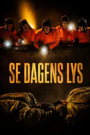 Se dagens lys