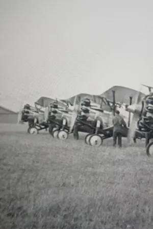 Gaas! Gaas! Gaas!