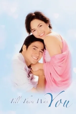 Till There Was You