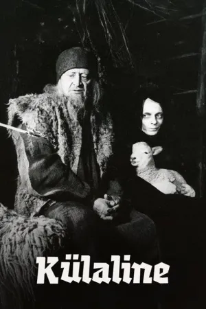 The Visitor