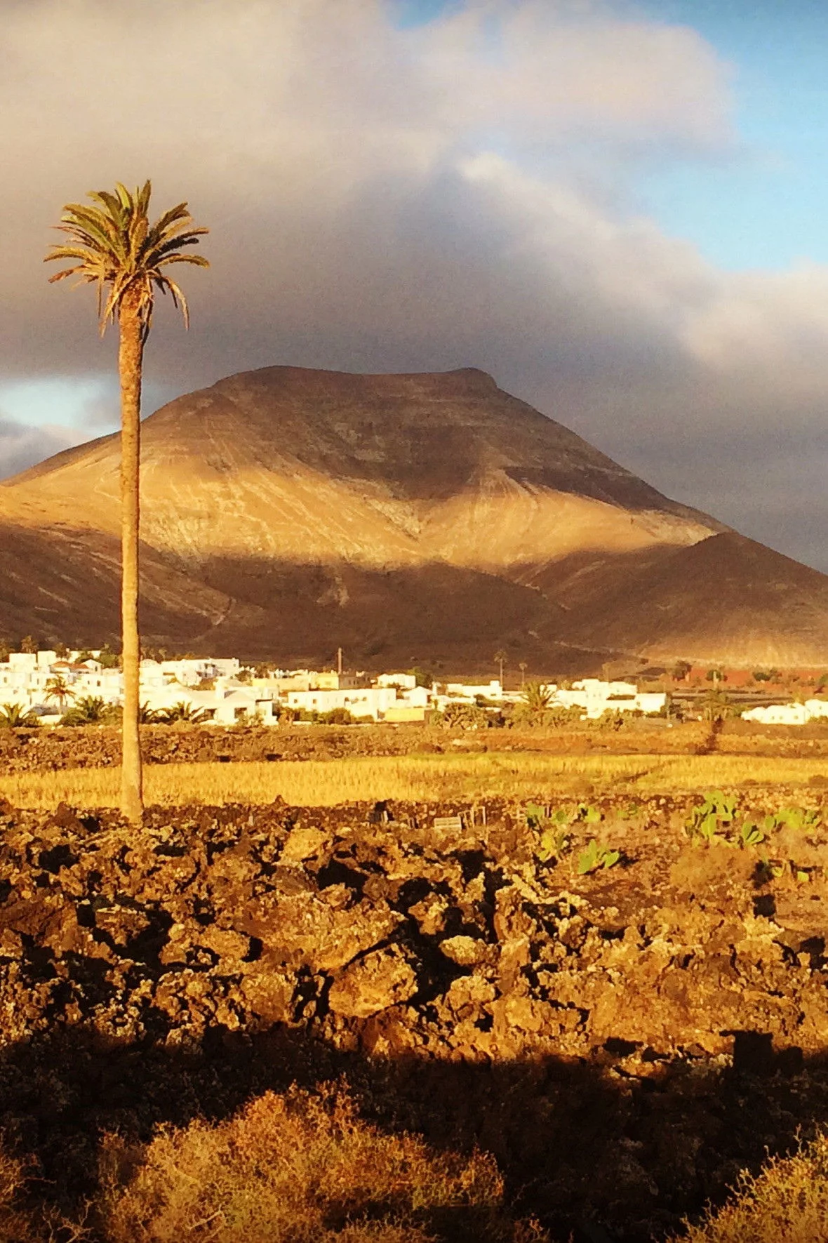 In the Shadows of Volcanoes