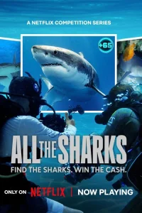 All the Sharks - Poster