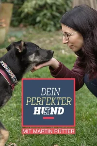 Dein perfekter Hund - Series Poster