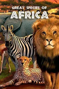 گونه‌های بزرگ آفریقا - Series Poster