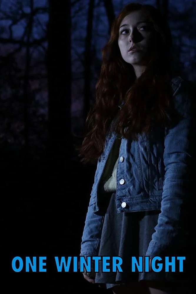 یک شب زمستانی