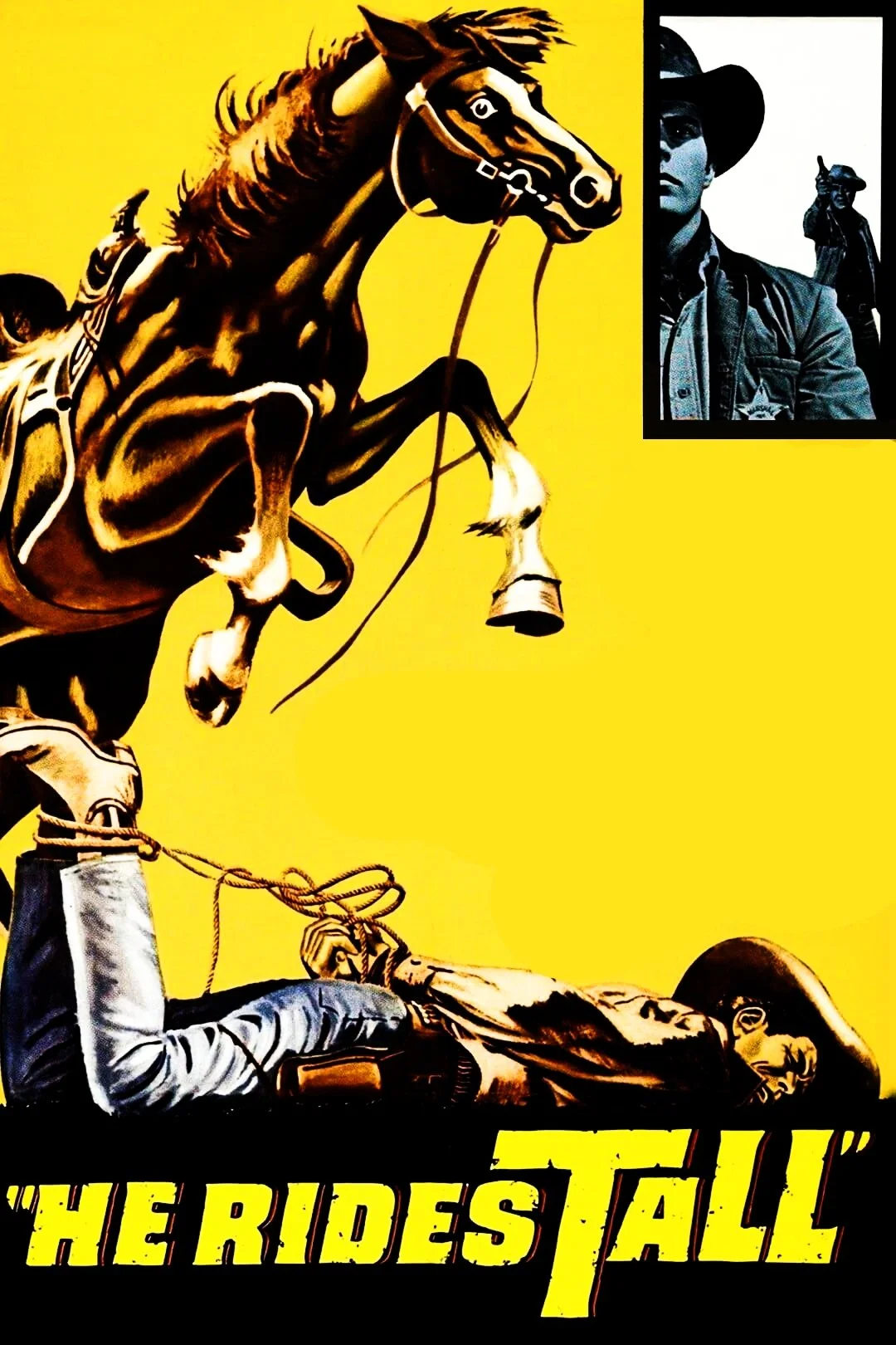 او قد بلند سوار می‌شود