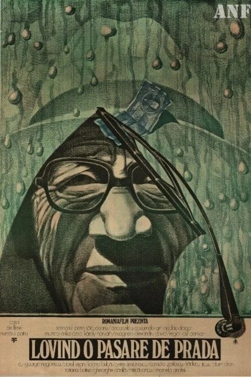 برای کشتن یک پرنده شکاری