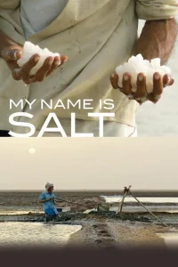 My Name Is Salt - Poster