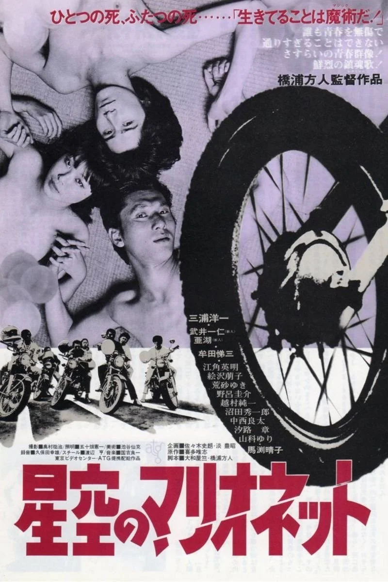 عروسک‌ها زیر آسمان‌های ستاره‌ای