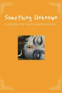 Something Unknown Is Doing We Don't Know What - Poster
