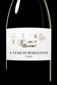 A Year in Burgundy - Poster