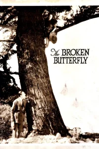 The Broken Butterfly - Poster