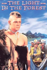 The Light in the Forest