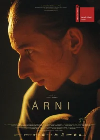 آرنی - Poster