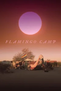 Flamingo Camp - Poster