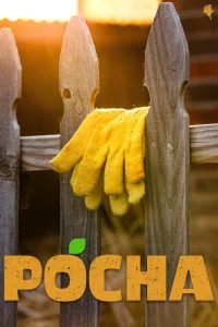 پوچا - Poster