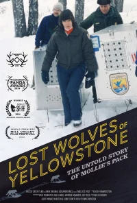 Lost Wolves of Yellowstone - Poster