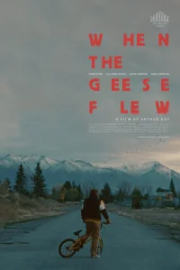 وقتی غازها پرواز کردند - Poster