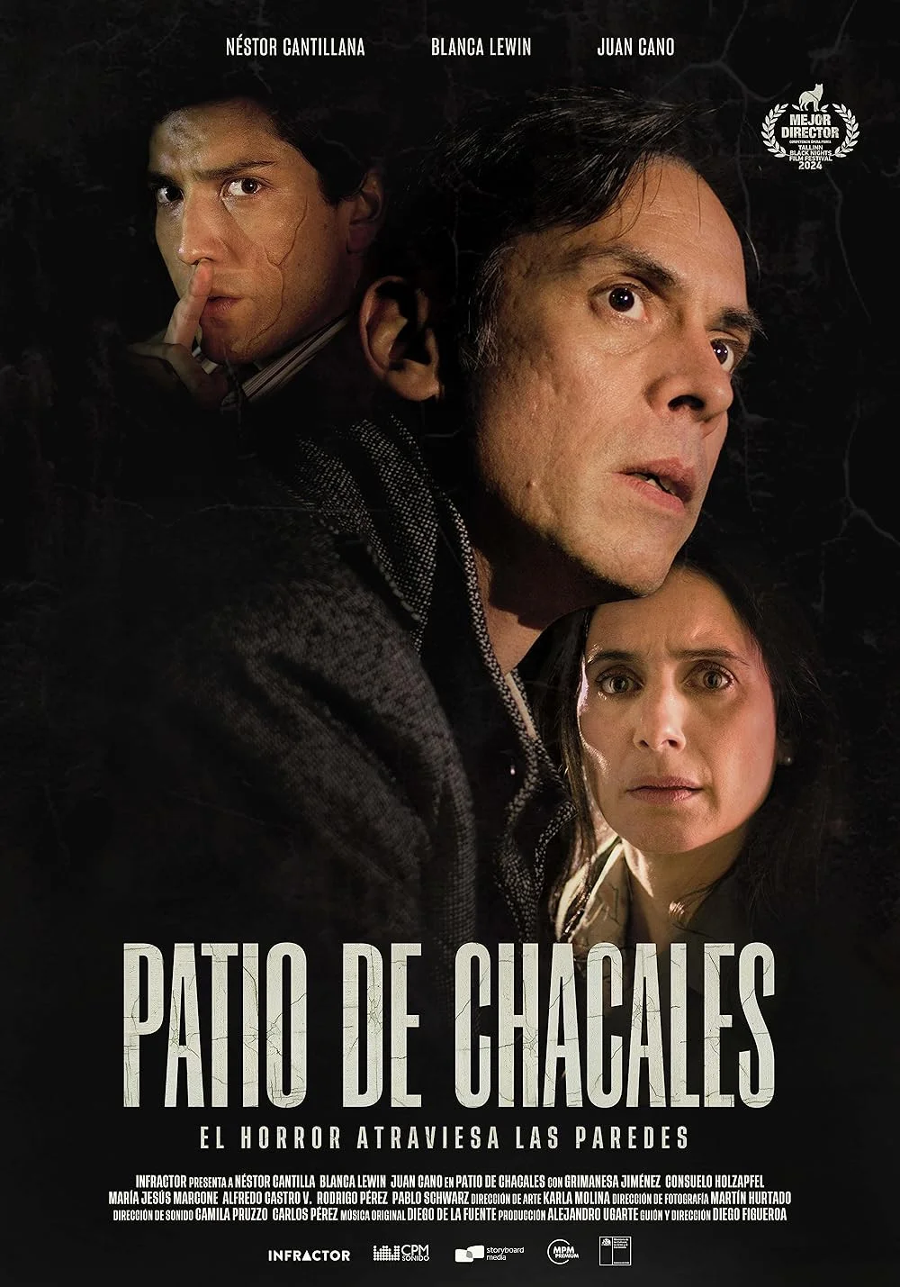 یک حیاط از شغال‌ها