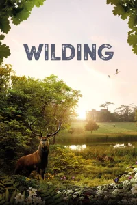 Wilding - Poster