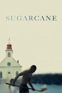 Sugarcane - Poster