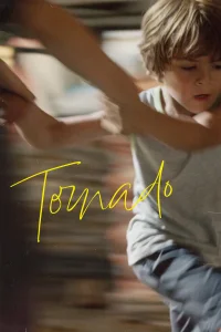 Fırtına - Poster