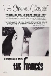 نامزدها - Poster