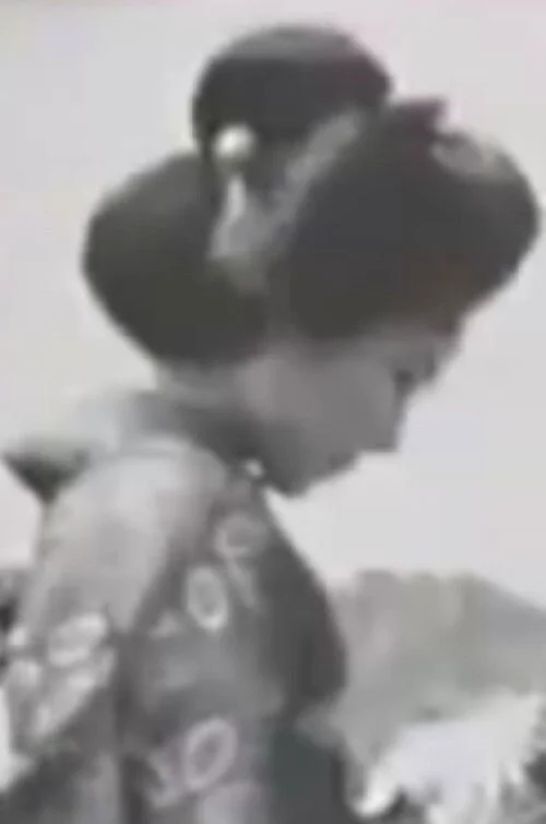 گل‌ها در طوفان شکوفا می‌شوند