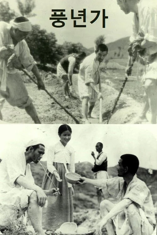 آهنگی در سال فراوانی