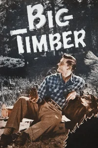 Big Timber