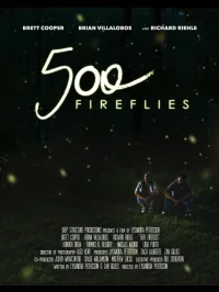 500 Fireflies