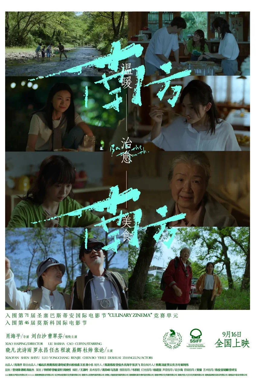 بازگشت به جنوب